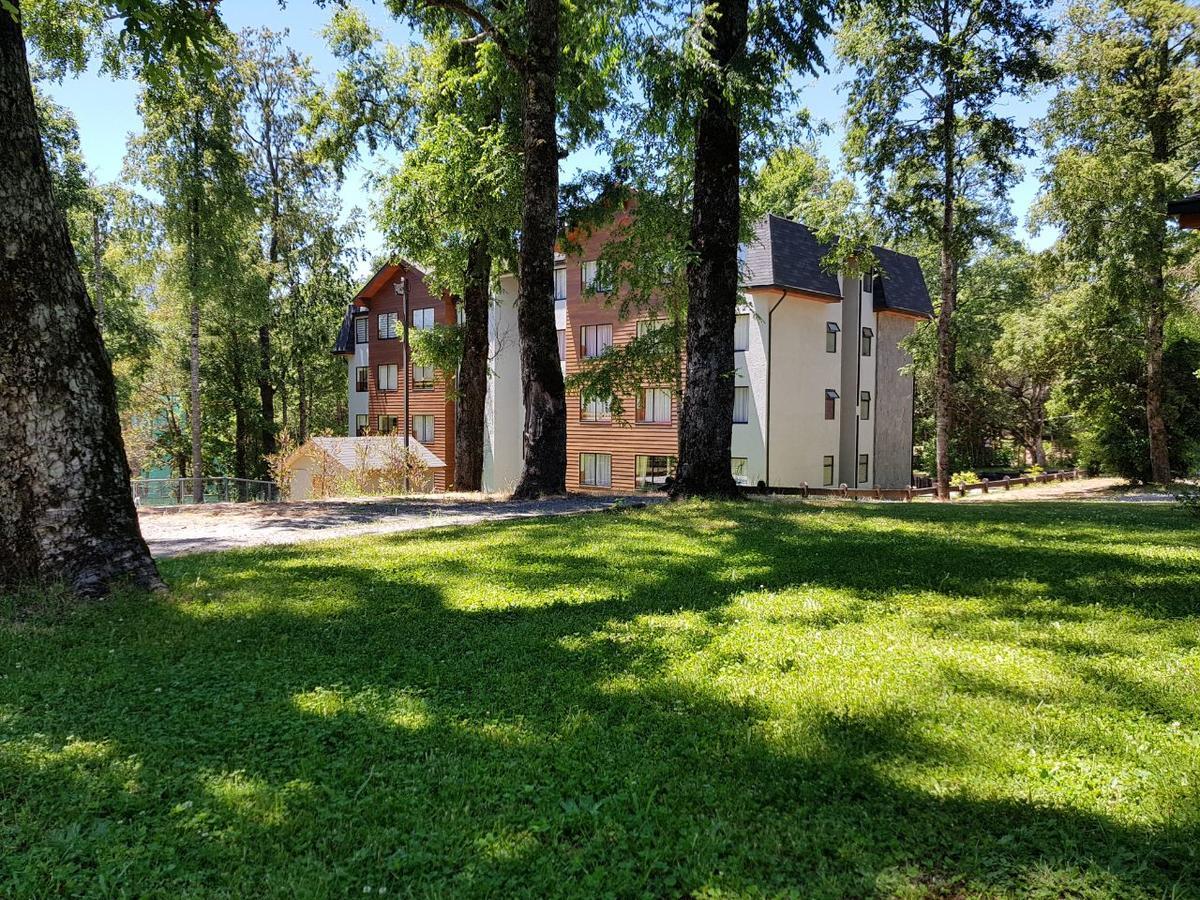 Апартаменты Depto Parque Suizo 800 Пукон Экстерьер фото